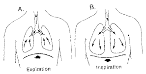 Diaphragmatic Breathing