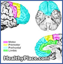 Paper on psychopathology of frontal lobe syndromes and how behavior problems with frontal lobe injury lead to attention disorder and other problems.