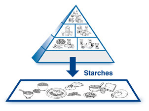 Starches Pyramid