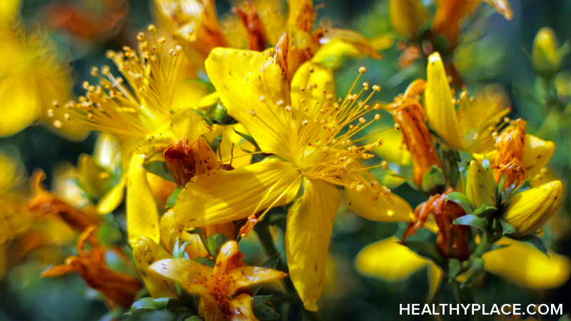 St. John's Wort is an alternative mental health herbal treatment for mild to moderate depression. Learn about the usage, dosage, side-effects of St. John's Wort.