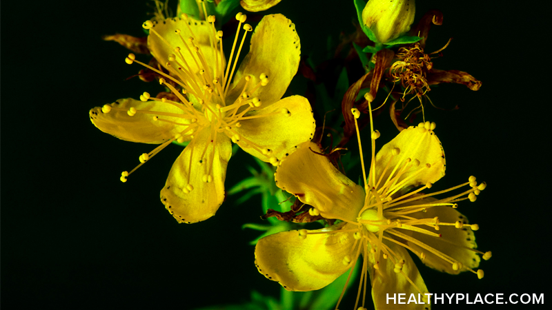 32 st johns wort healthyplace