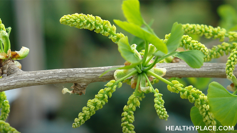 Ginkgo Biloba is an herbal remedy for treating alzheimer's disease and dementia, memory problems and depression. Learn about the usage, dosage, side-effects of Ginkgo Biloba.