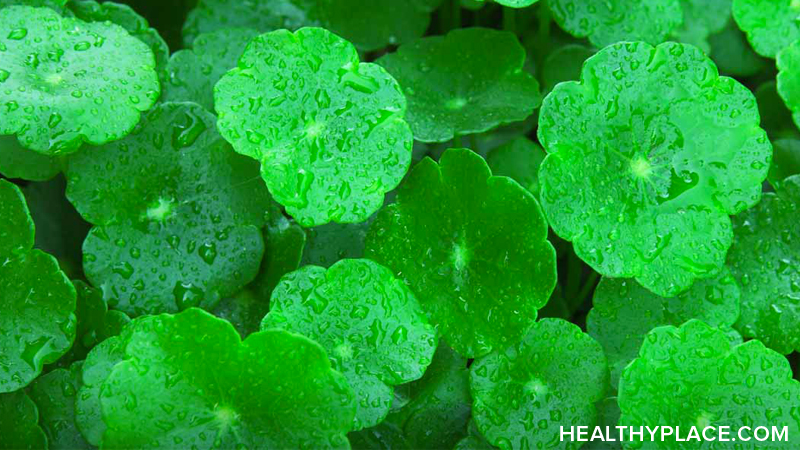 Gotu kola is an herbal remedy used to ease anxiety and treat mental fatigue and insomnia. Learn about the usage, dosage, side-effects of Gotu kola.