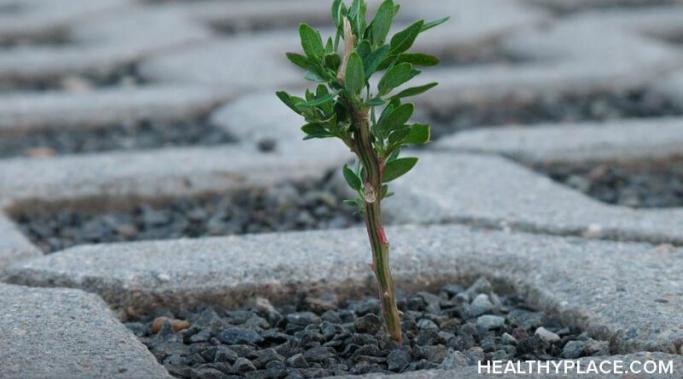 Emotional resilience is especially important to those living with a mental illness. Learn how to create more emotional resilience at HealthyPlace.