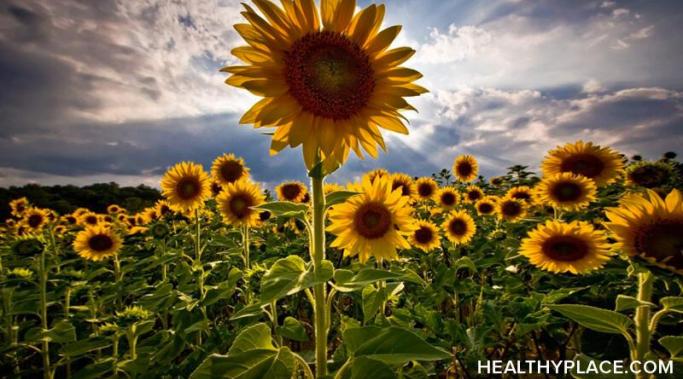 Planting happiness is as easy (or as difficult) as gardening. Find out how gardening enhances your health and mental health at HealthyPlace.