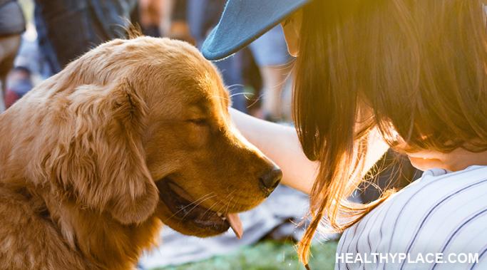 Easing anxiety with pets is animal therapy at its most natural--there's no need to be a professional to benefit from pets. Animals give us mental peace. Watch.