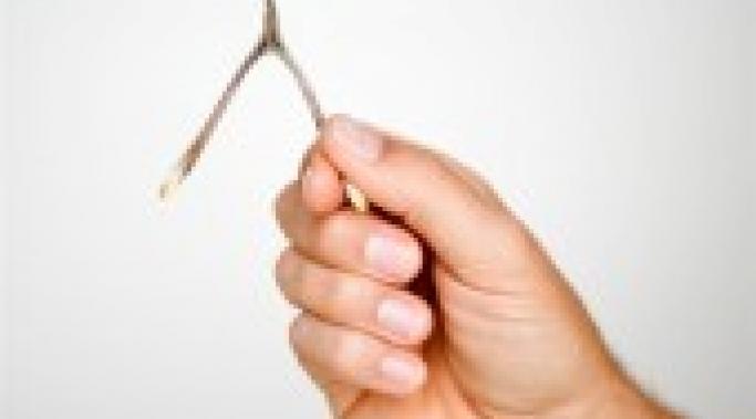 wishbone