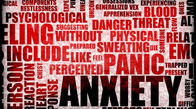 Social anxiety can have debilitating effects.  Knowing when to push through and when to pull back is a key to recovery.  Developing a system for handling the overwhelm can help with pushing through and pulling back.