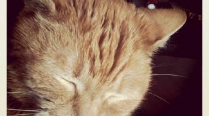 Death affects bipolar disorder dramatically. Here's how I'm planning for death to minimize its impact on my bipolar disorder.
