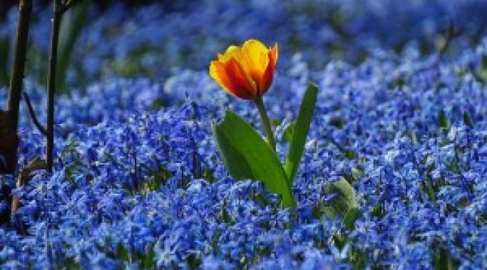 Surviving spring holidays with binge eating disorder sometimes means dealing with food heckling. All you want is a nice meal. Can you get it? Read this.
