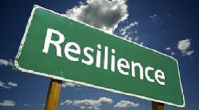 You can learn to increase resiliency in PTSD recovery. Learn how to be more resilient in your PTSD recovery. Bounce back quicker using these tips. Take a look.