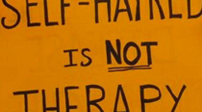 Banning conversion therapy, a therapy that attempts to convert gays into heterosexuals, doesn't work. It harms many. But should the US ban conversion therapy? 