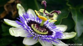 Passionflower is an alternative herbal remedy for anxiety, stress, and insomnia. Learn about the usage, dosage, side-effects of Passionflower.