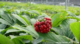 Overview of ginseng as a natural remedy for depression and whether ginseng works in treating depression.