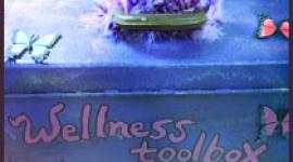 The first step in developing your own Wellness Recovery Action Plan is to develop a Wellness Toolbox - tools to help yourself stay well.