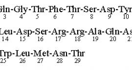 Structure of Glucagon