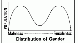 Distribution of Gender