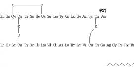 Insulin Detemir Molecular Formula Structure