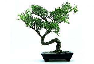 In PTSD recovery, forgiveness means to release your vendetta, not to release the person who caused your trauma from accountability. Find out why. Read this.