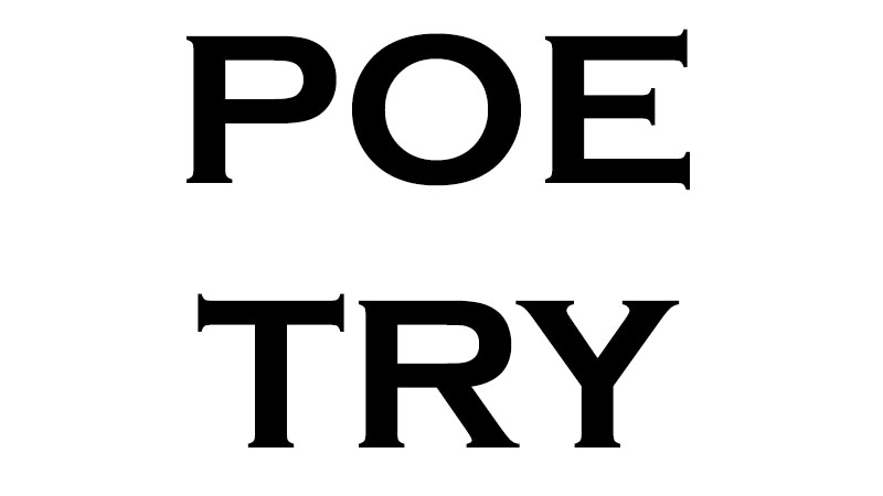 My psychotic poetry reveals what 'being insane' feels like. Read this if you want to know what psychosis is like for schizophrenia, bipolar or other illnesses.