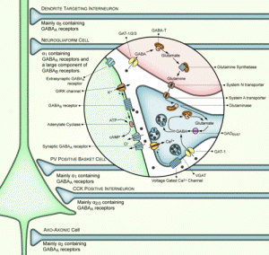 Baclofen