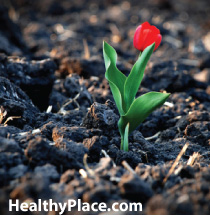 I've learned through mindfulness and other spiritual techniques to find peace amidst the pain of life and borderline personality disorder.