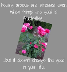 It's frustrating when we feel stressed and anxious even when things are good. Learn how to deal with stress and anxiety in good times. Read these four tips.